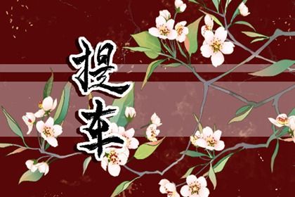 2029年农历八月廿九提车好吗 今日提车好不好